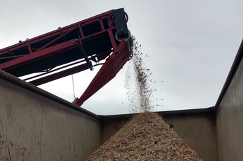 Magnetický buben MB 204 F 600 - drcení dřevěných palet